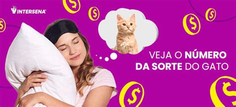 Sonhar com gato número da sorte lotofácil 